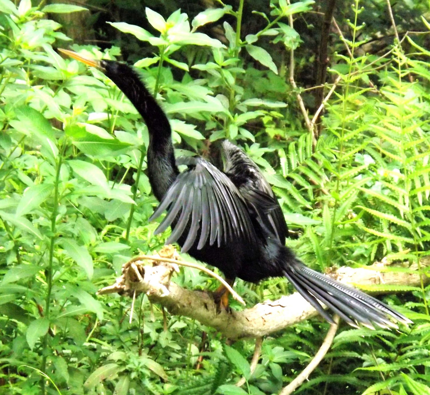Wildlife Moment Feb 2 B